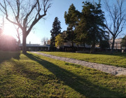 Vaknin Lab
